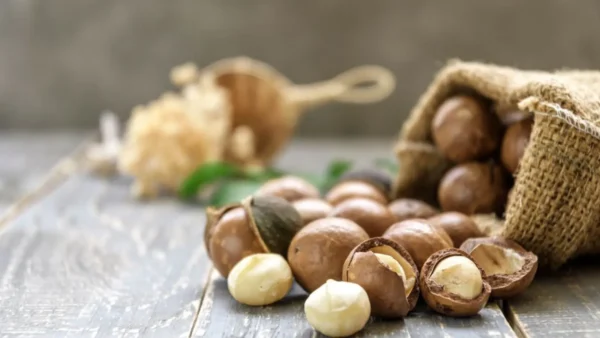 Home healthnuts.com.jm