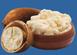 Raw Cupuaçu Butter
